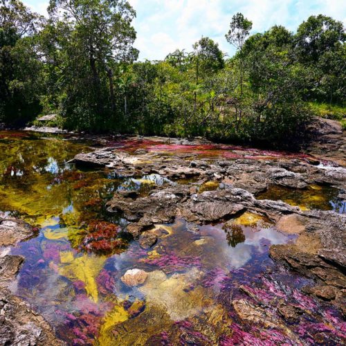 cano cristales