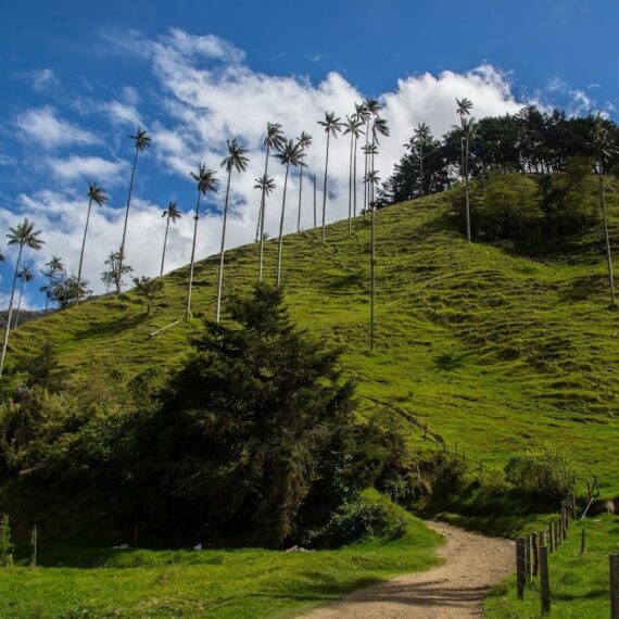 photo gallery colombia