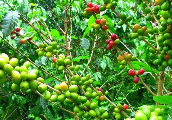 photo gallery colombia