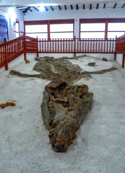 photo gallery colombia