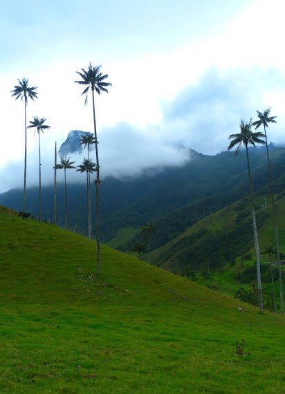 colombia photo gallery