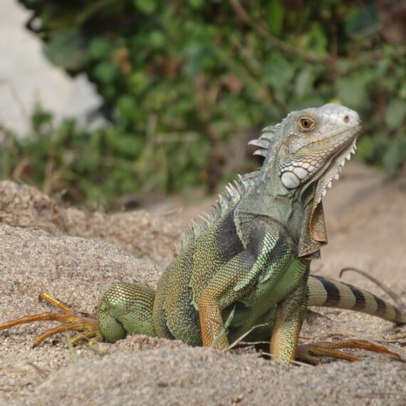 photo gallery colombia