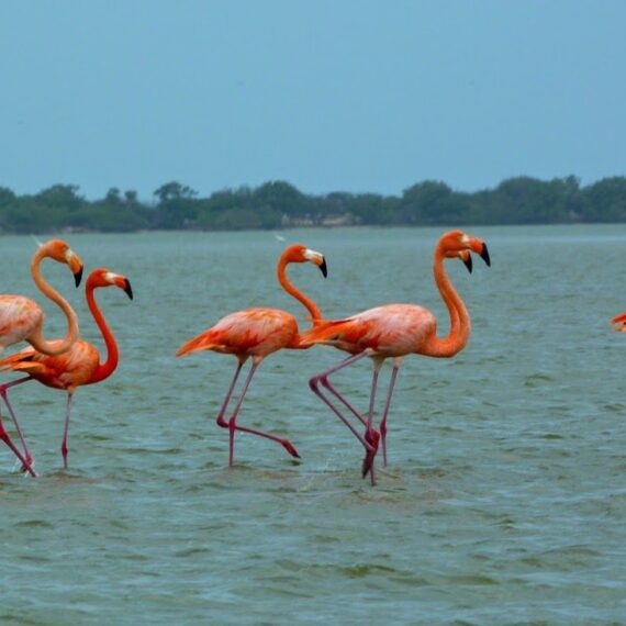 colombia photo gallery