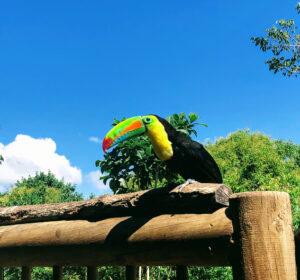 visite parc aviaire colombie