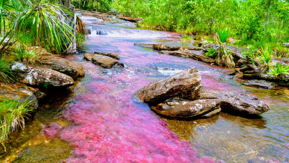 coloured river in colombia