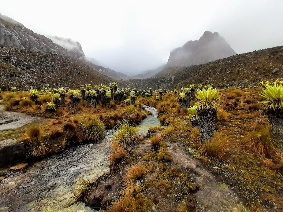 hiking to the cocuy national park